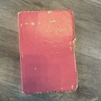 Women Focused KJV Bible